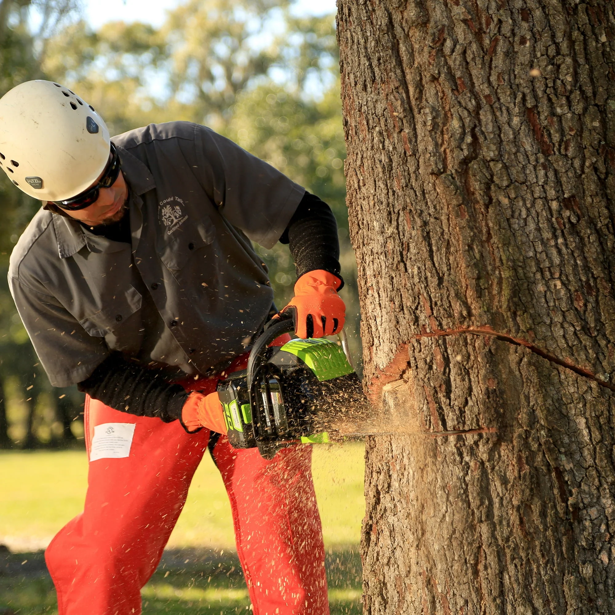 Greenworks Pro 80V 18