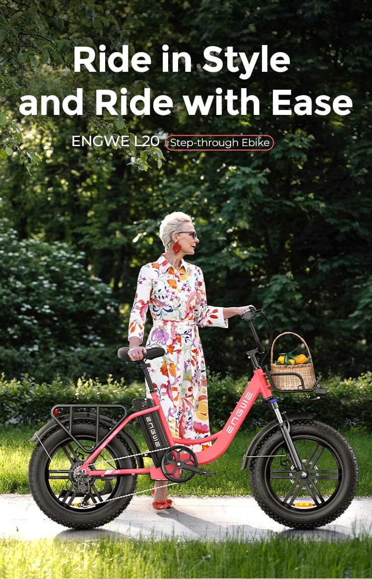 Engwe L20 Electric Bike for Adults,750W Motor 19.9MPH Fat Tire Mountain Bike with 48V 13AH Battery