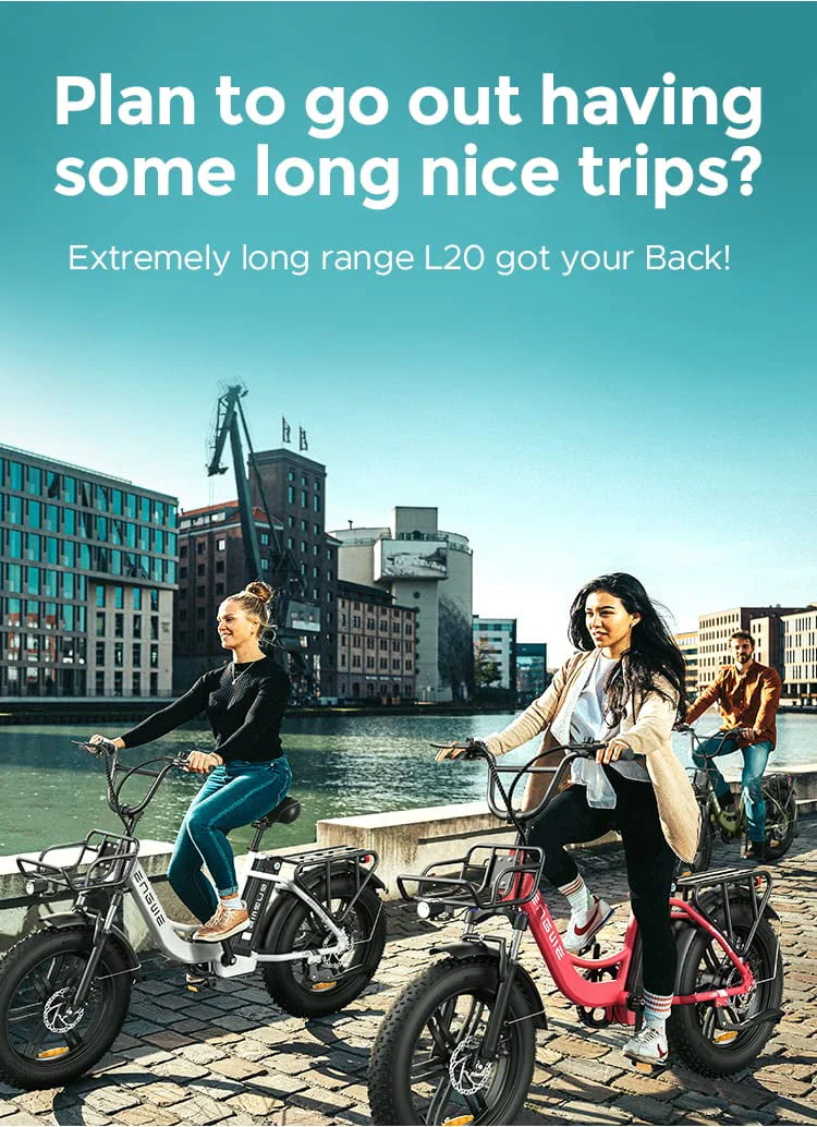 Engwe L20 Electric Bike for Adults,750W Motor 19.9MPH Fat Tire Mountain Bike with 48V 13AH Battery