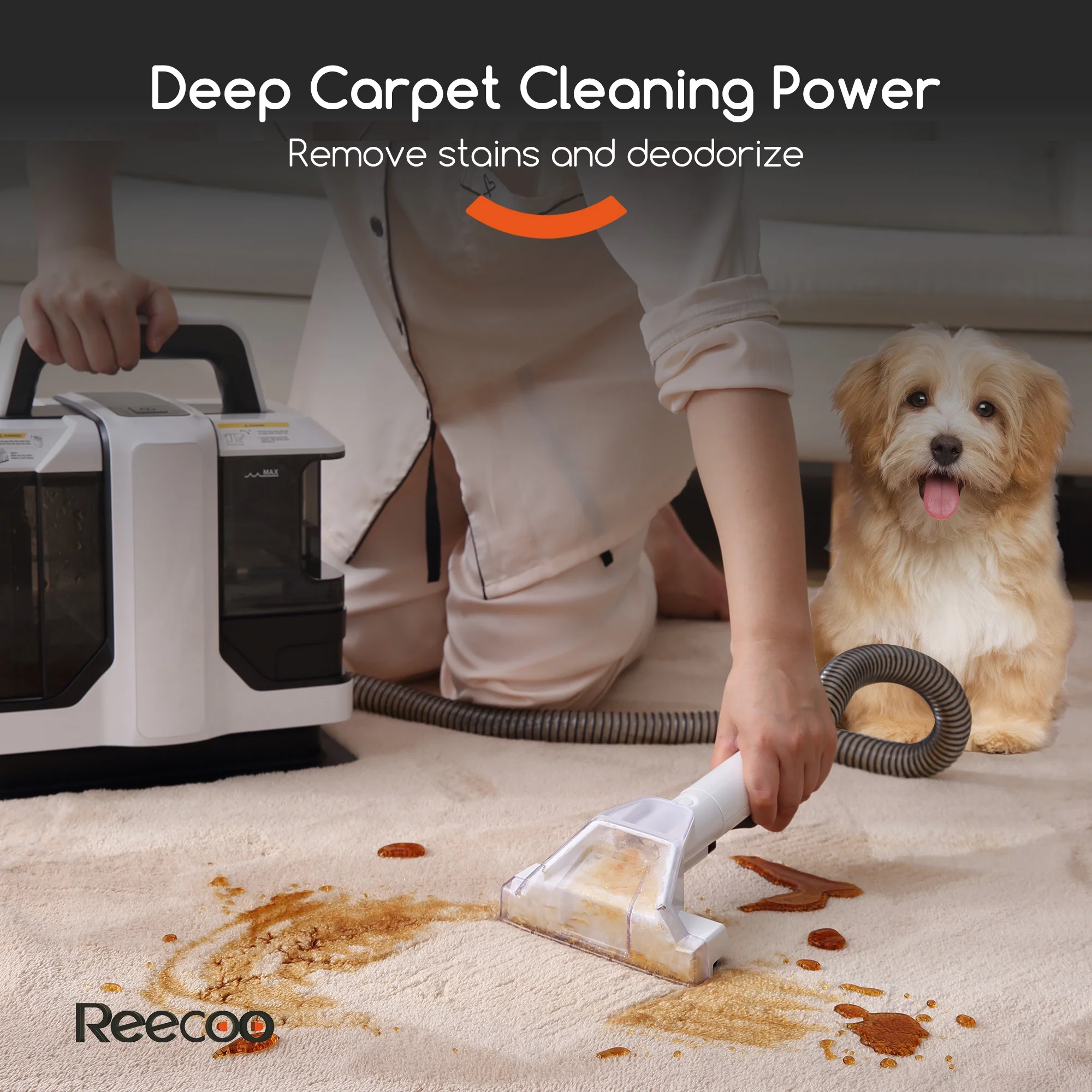 Reecoo W1 Wet/Dry Handheld Carpet Steamer and Upholstery Cleaner with Brushes for Couch, Carpet