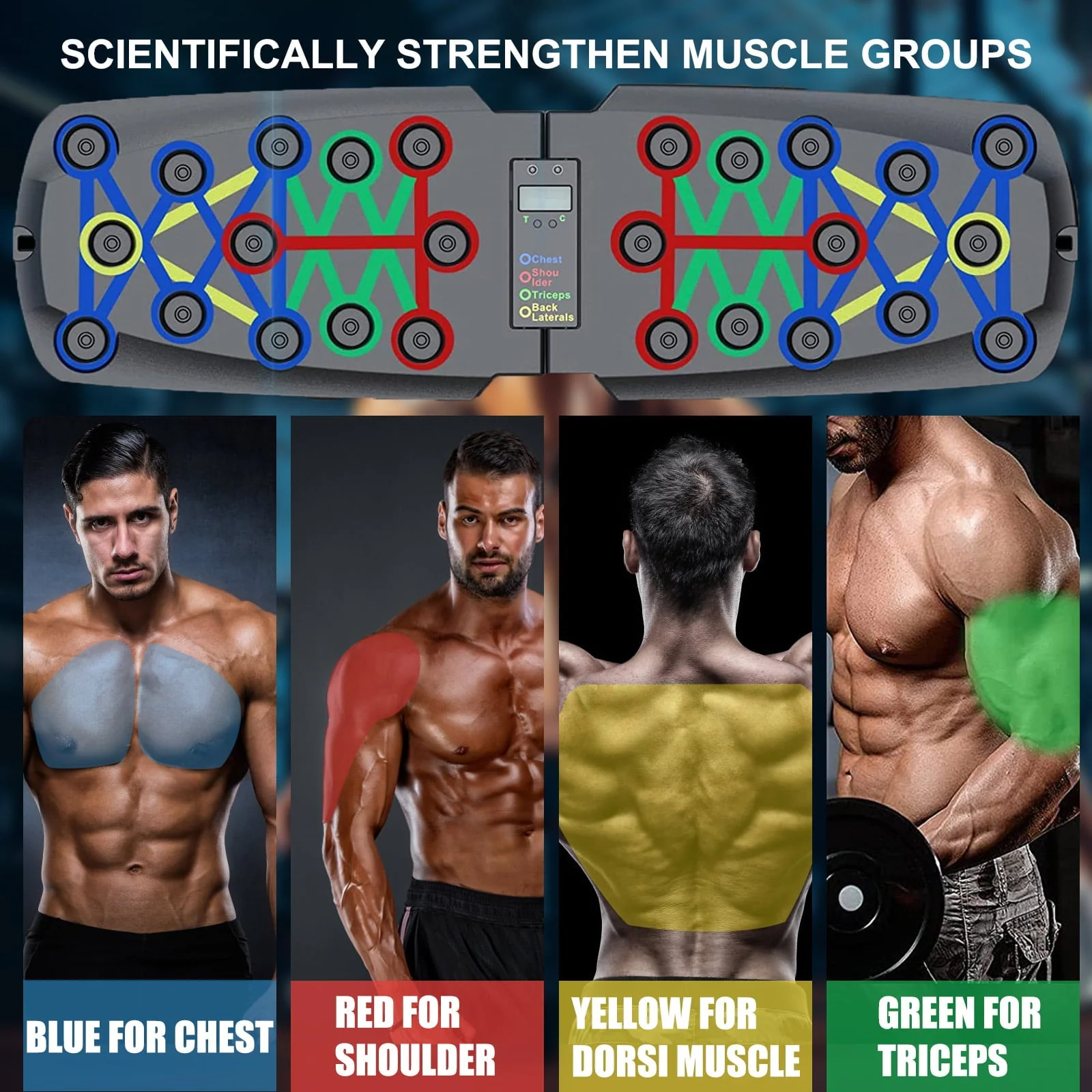 Push up Board, Portable Push up Bar with Auto Timing & Counting, Home Workout Equipment Push up Board for Men and Women with Resistance Bands, Strength Train Chest Tricep Back Workout